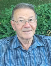 armando d'amico