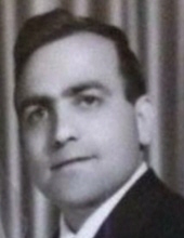 domenico pulice